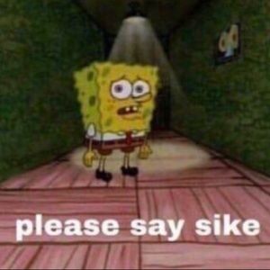 Meet your Posher, Maryam